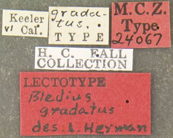 Media type: image;   Entomology 24067 Aspect: labels
